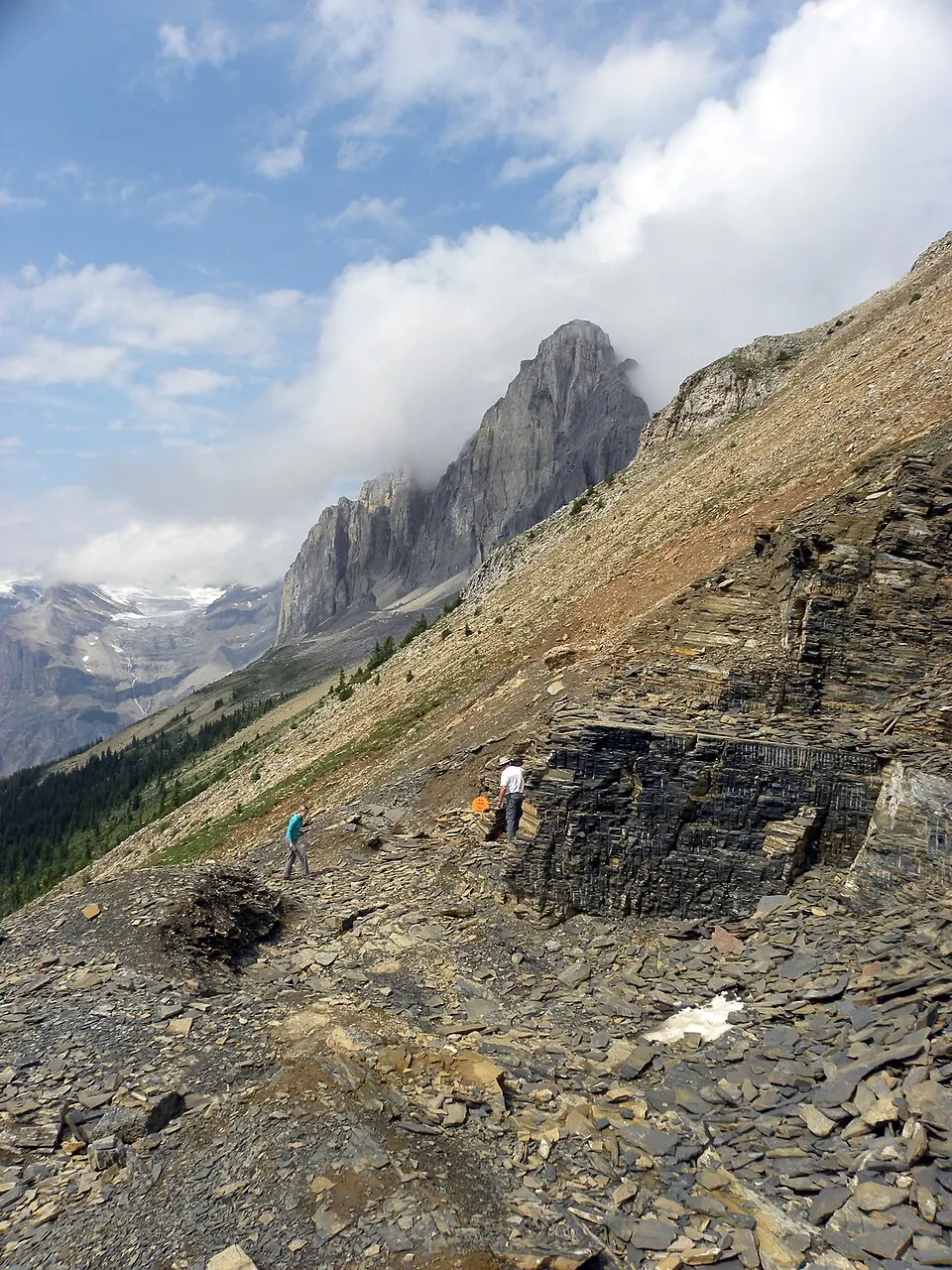 Burgess Shale