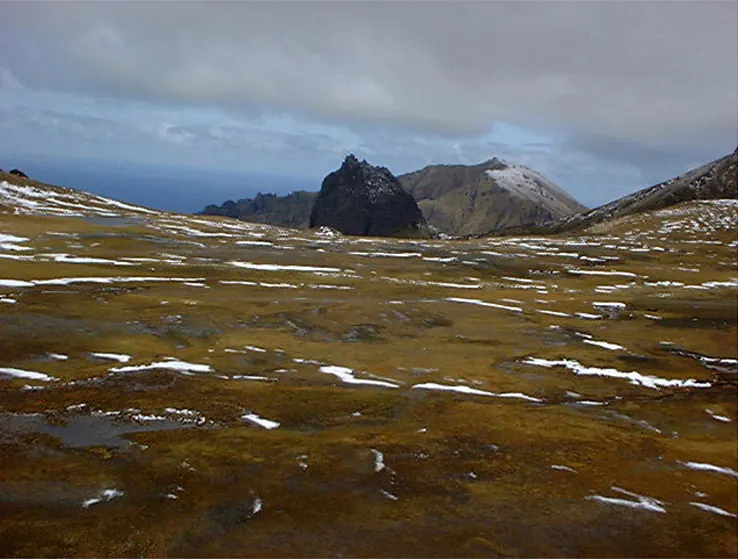 Gough and Inaccessible Islands