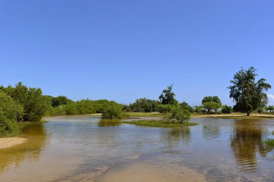Guánica State Forest