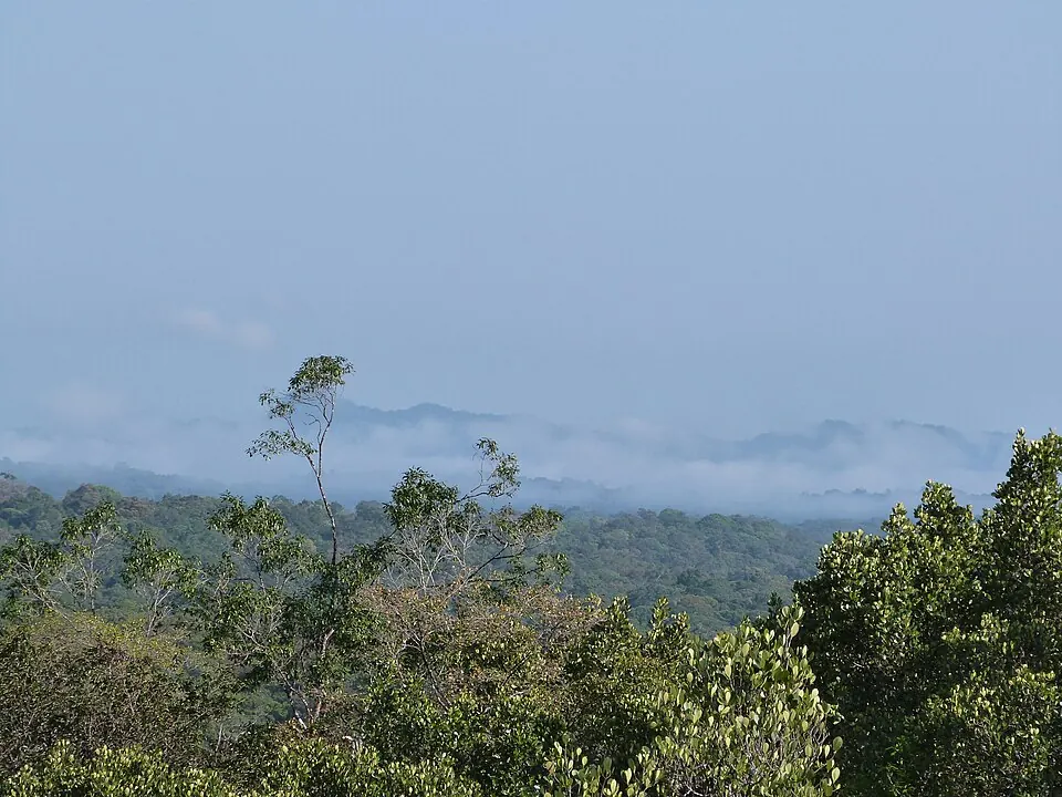 Guiana Amazonian Park