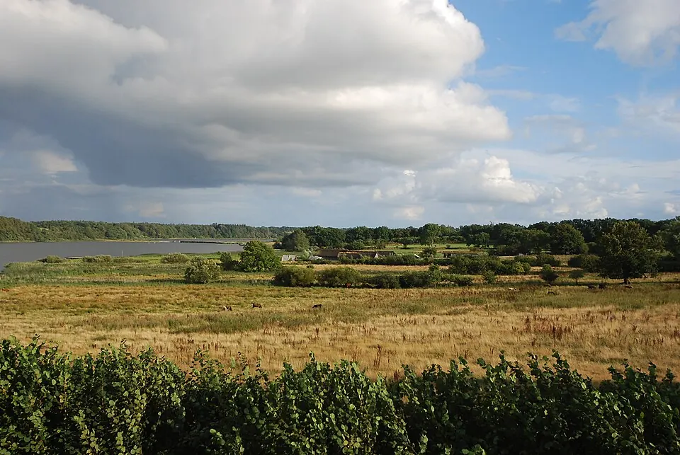 Hedeby