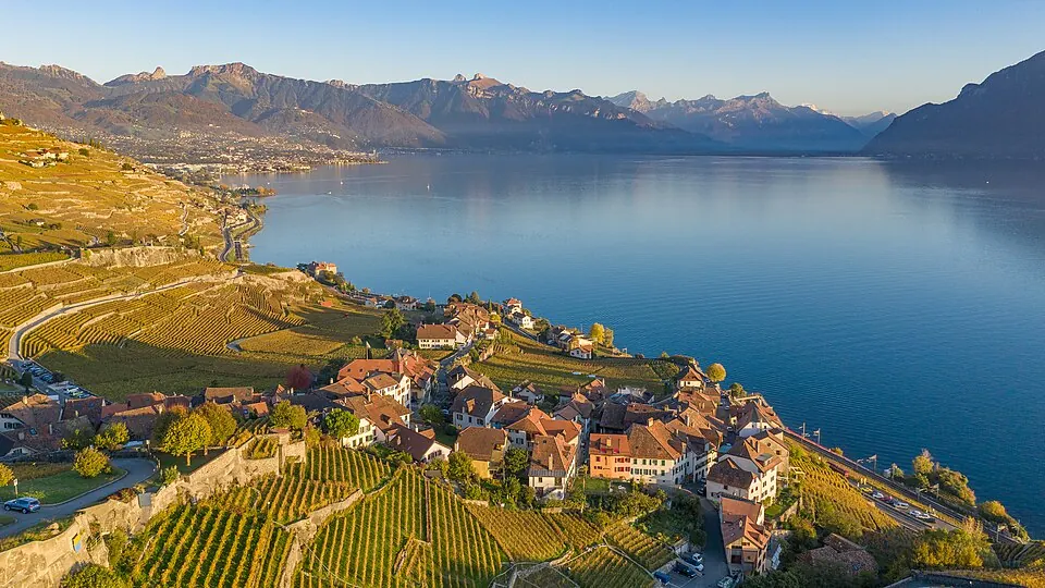 Lavaux