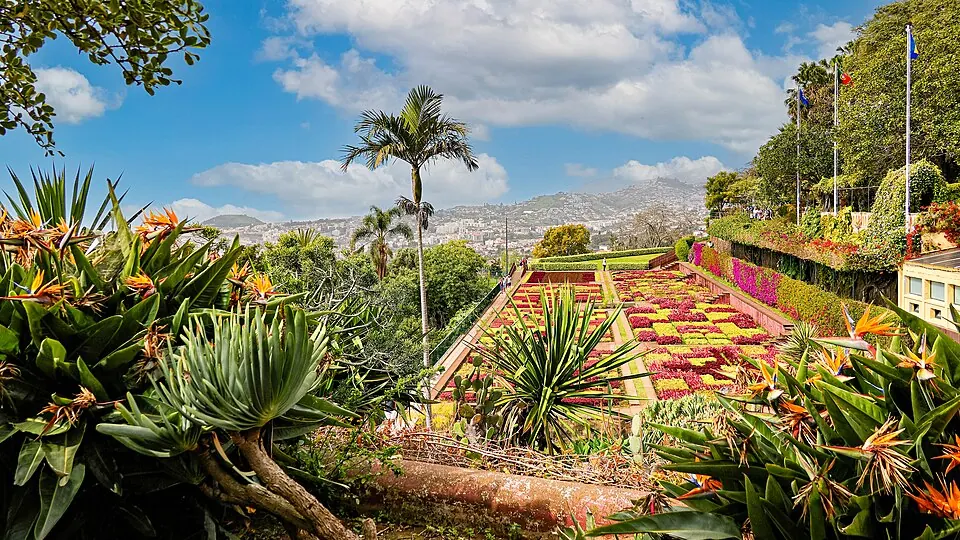 Madeira Botanical Garden