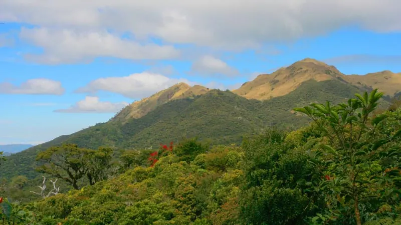 Mount Pulag