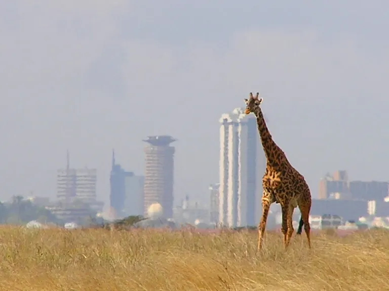 Nairobi National Park