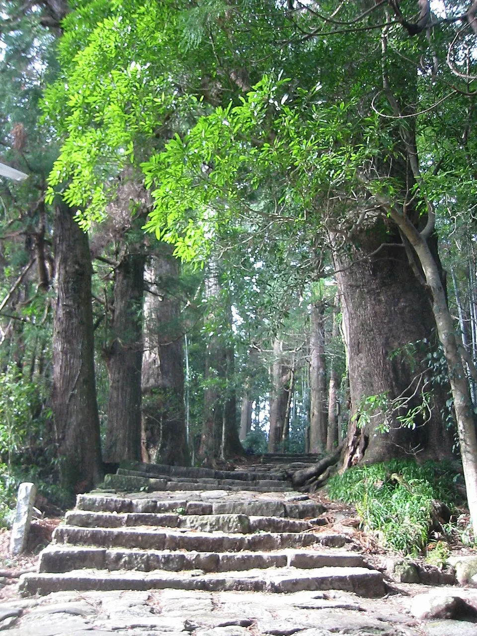 Sacred Sites and Pilgrimage Routes in the Kii Mountain Range
