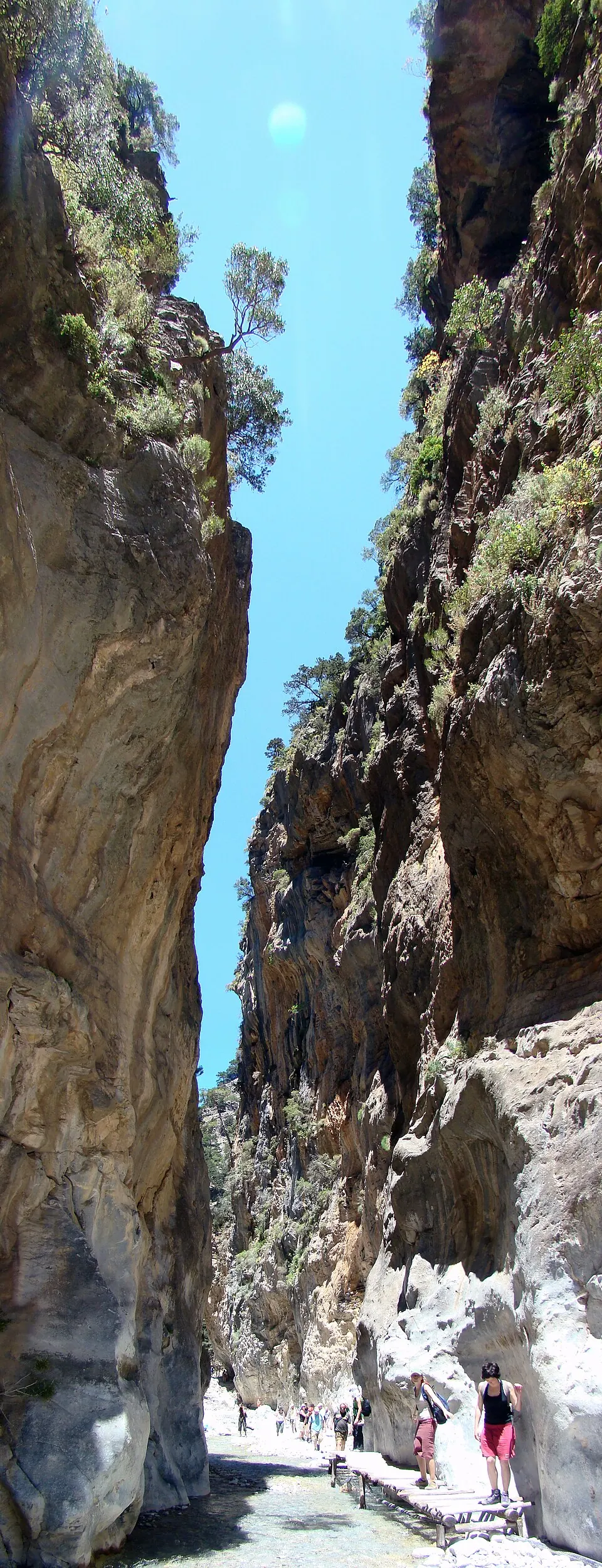 Samaria Gorge