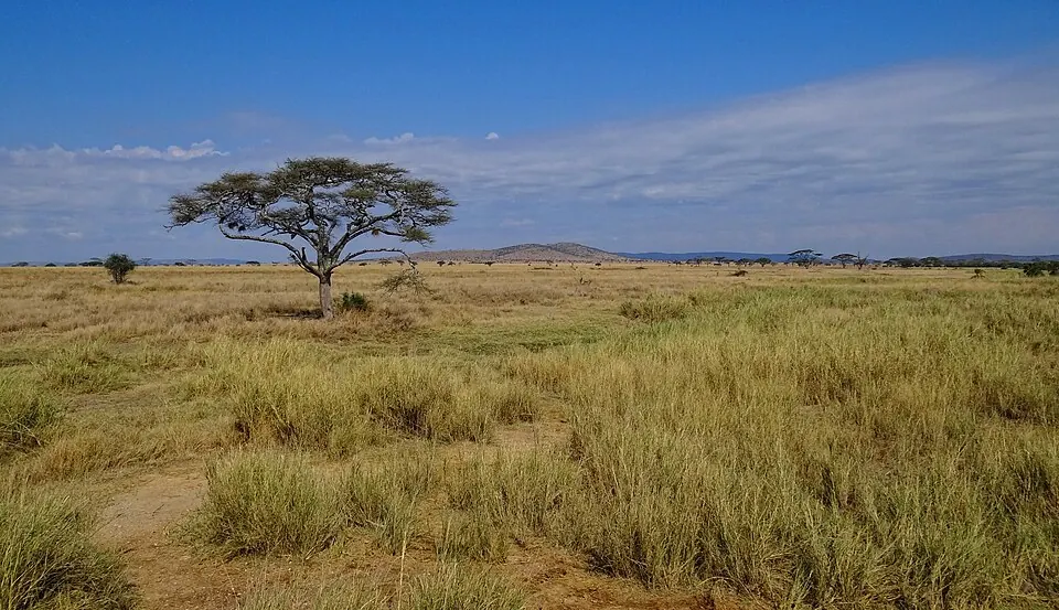 Serengeti National Park