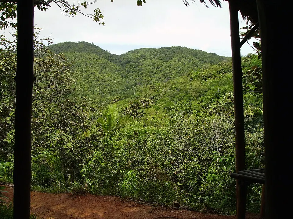 Vallée de Mai