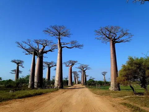 Madagascar