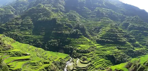 Banaue Rice Terraces