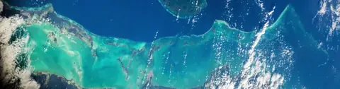 Belize Barrier Reef