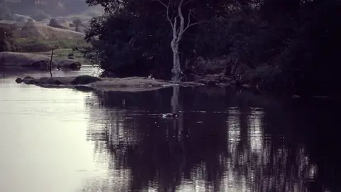 Comoé National Park