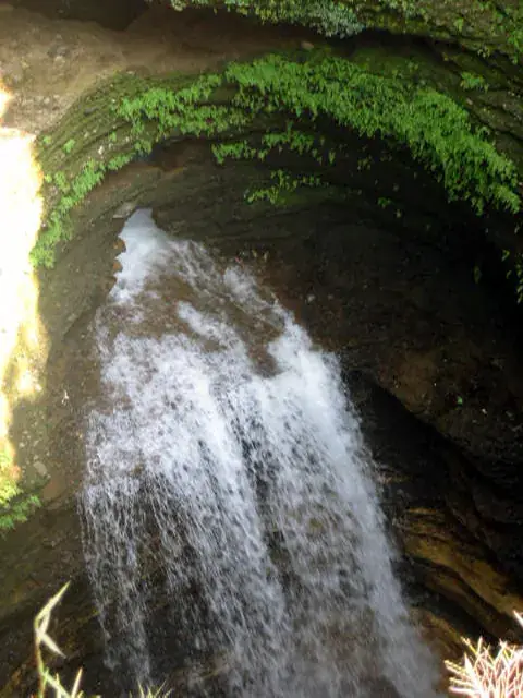 Davis Falls