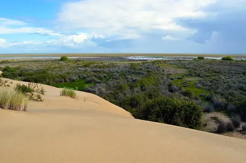 Doñana National Park