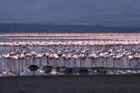 Great Rift Valley