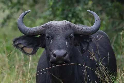 Lake Mburo National Park