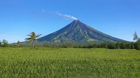Mayon