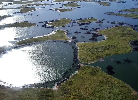 Pantanal
