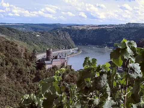 Rhine Gorge