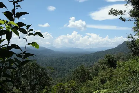Taman Negara