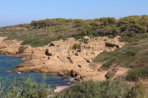 Tipasa